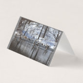 Oies Se Levant De L'Eau (Front)