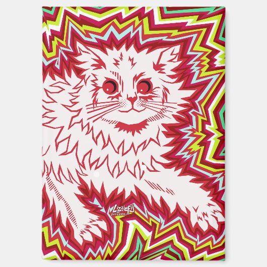 Oingo Boingo psychedelic cat magnet Magneet (Voorkant)