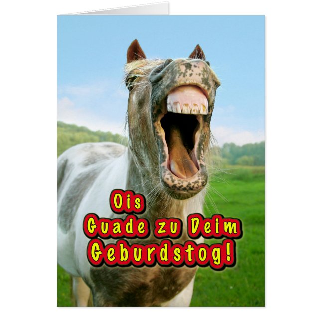 Ois Guade à l'anniversaire de Deim ! (Devant)