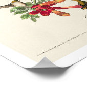 Oiseau à gorge rubis par Audubon Poster (Coin)