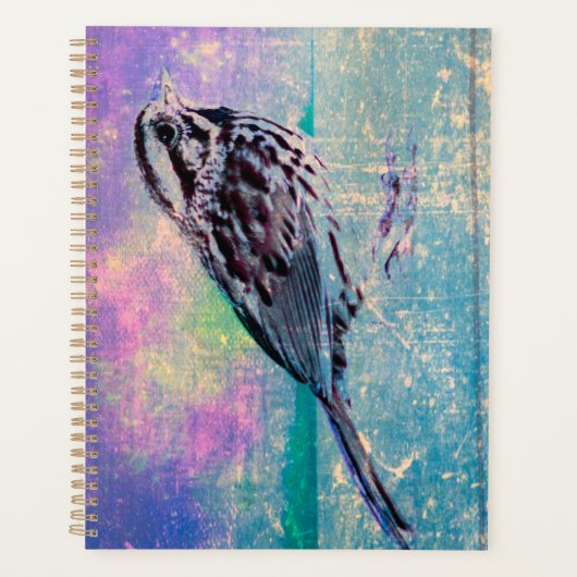 Oiseau Abstrait Coloré : Chanson Colorée (Devant)