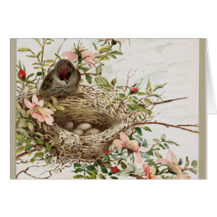 Oiseau attentif vintage