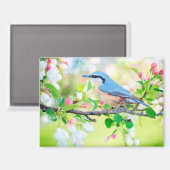 oiseau au printemps aimant (Recto/Verso)