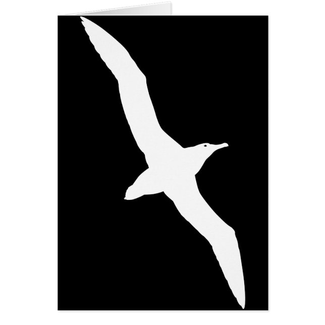 Oiseau blanc d'albatros en vol (Devant)