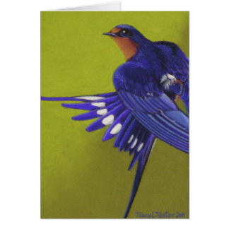 Oiseau bleu, hirondelle de grange