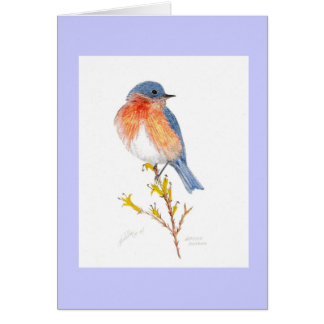oiseau bleu oriental