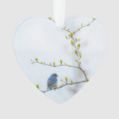 Oiseau bleu oriental d'oiseau animal (devant)