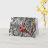 Oiseau cardinal, carte (Fleur jaune)