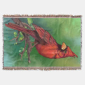 Oiseau cardinal rouge du Nord Jetez la couverture (Devant)