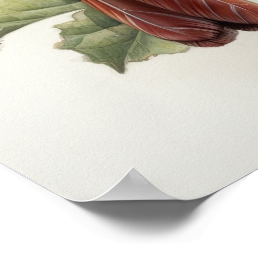 Oiseau cardinal rouge féminin Affiche d'impression (Coin)