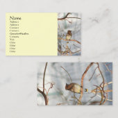 Oiseau cireux en Carte de visite animal d'hiver (Devant / Derrière)