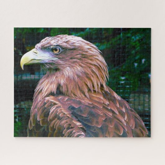 Oiseau d'aigle d'or de Prey. Jigsaw Puzzle (Horizontal)