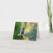 Oiseau dans un carte pour notes vierge de pin. (Devant)