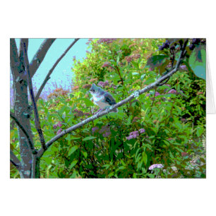 Oiseau de bébé de débutant de mésange tuftée