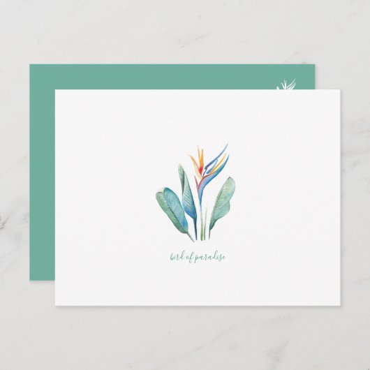 Oiseau de carte postale tropicale d'aquarelle de (Devant / Derrière)