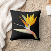 Oiseau de coussin d'usine de paradis (Couverture)