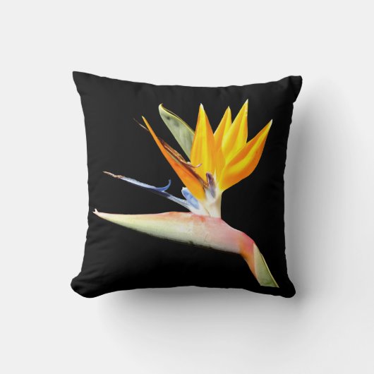Oiseau de coussin d'usine de paradis (Recto)