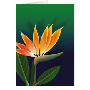 Oiseau de fleur de paradis