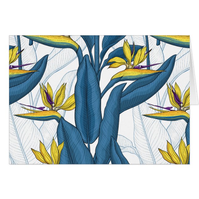 Oiseau de fleurs de paradis sur blanc (Devant horizontal)