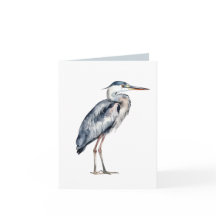 Oiseau de Héron Bleu Côtier