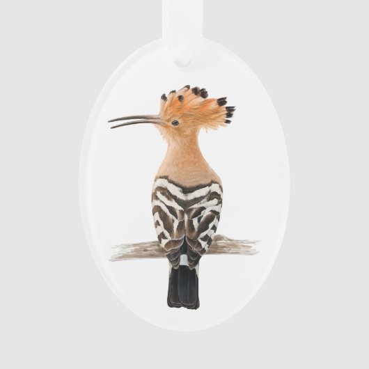 Oiseau de Hoopoe (devant)