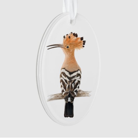 Oiseau de Hoopoe (devant)
