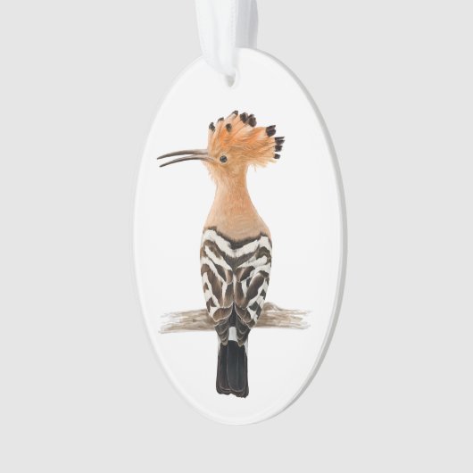 Oiseau de Hoopoe (devant)