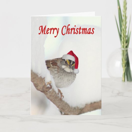 Oiseau de Joyeux Noël avec la carte de voeux de (Devant)