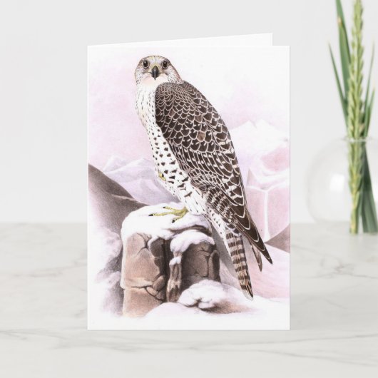 OISEAU DE LA CARTE À NOIX (Devant)