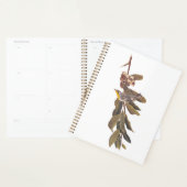 Oiseau de la Paruline à gorge jaune d'Audubon sur  (Devant avec enveloppe)