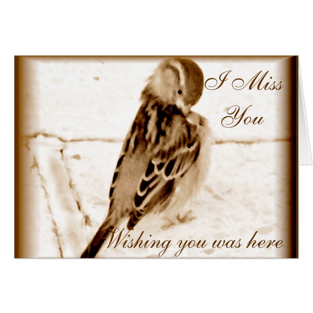 Oiseau de l'amour_ (Devant Horizontal)