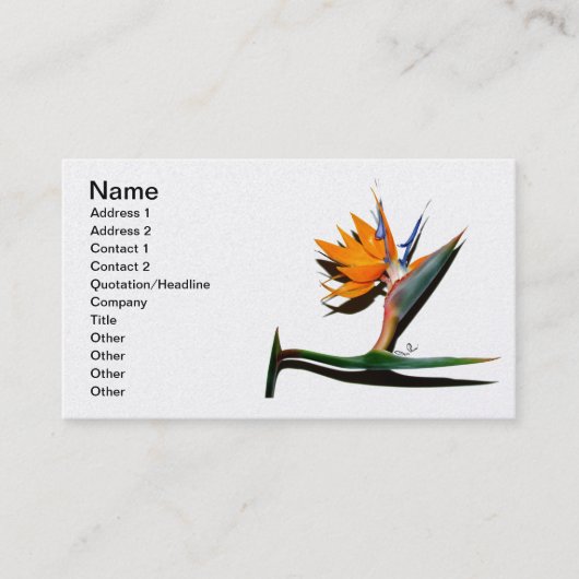 Oiseau de paradis avec Carte de visite d'ombre (Devant)