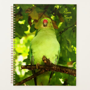 Oiseau de perroquet vert
