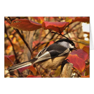 Oiseau de poulet aux feuilles d'automne rouge rose