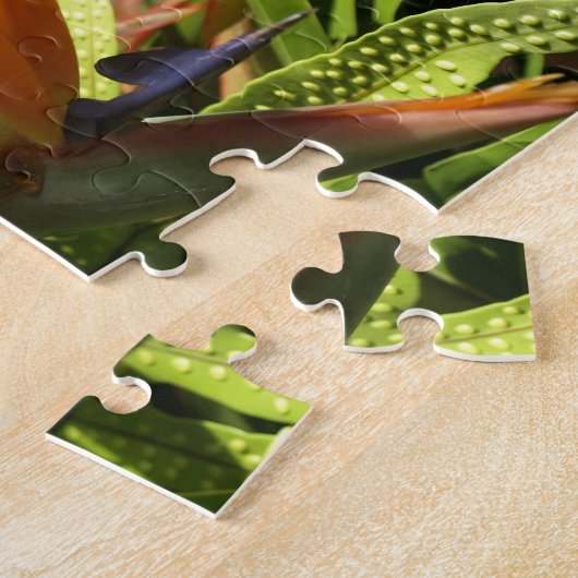 Oiseau de puzzle de paradis (Côté)