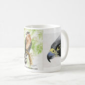 Oiseau de tasse d'amants de proie (Devant droit)