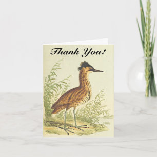 Oiseau debout, aspect vintage, carte postale "Merc