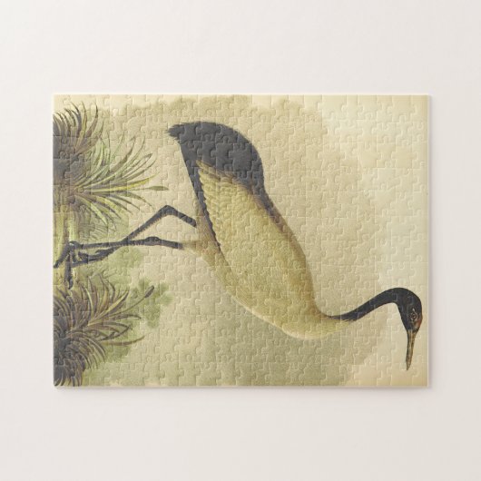 Oiseau debout sur le puzzle du sol (Horizontal)