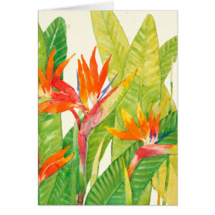 Oiseau des fleurs du paradis tropical