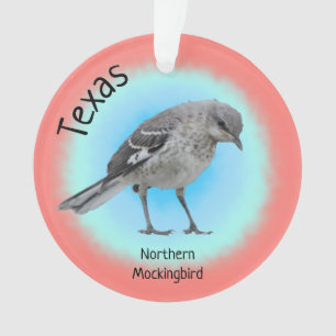 Oiseau d'État du Texas