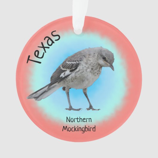 Oiseau d'État du Texas (devant)