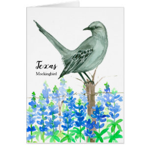 Oiseau d'État du Texas Mockingbird Aquarelle blanc