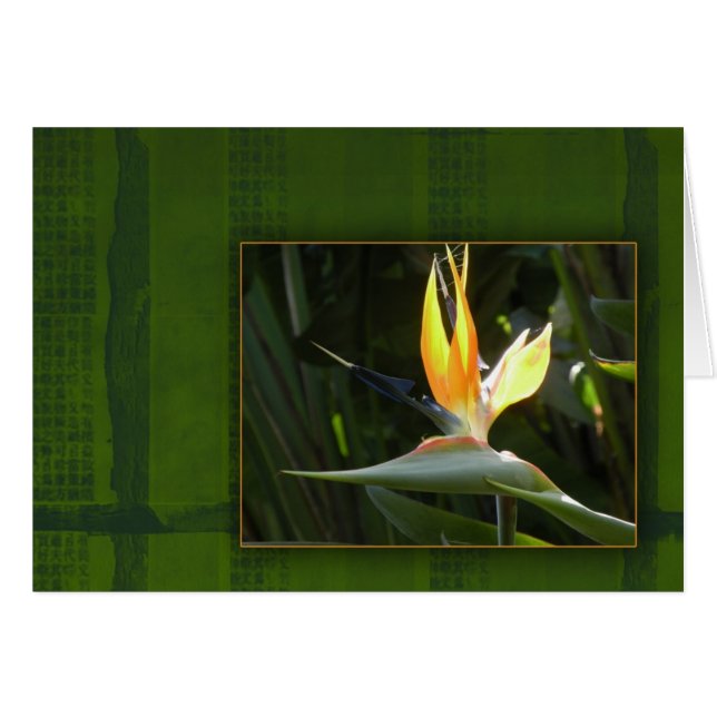 Oiseau du paradis (Devant horizontal)