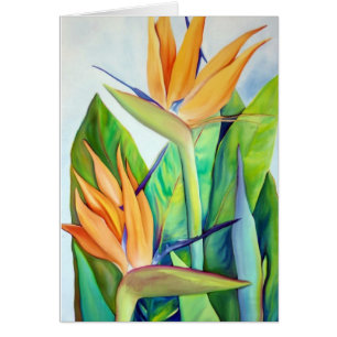 Oiseau du paradis, fleur tropicale,
