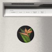 Oiseau Du Paradis Plein Magnet (In Situ (Lave-vaisselle))