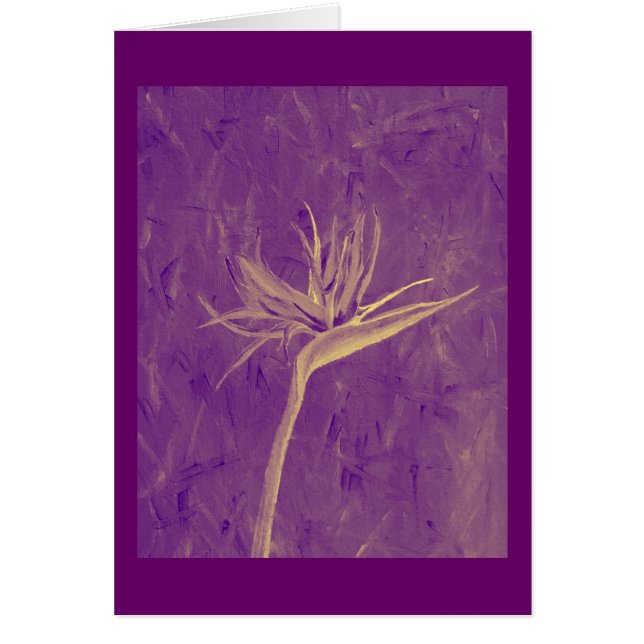 Oiseau du paradis pourpre (Devant)