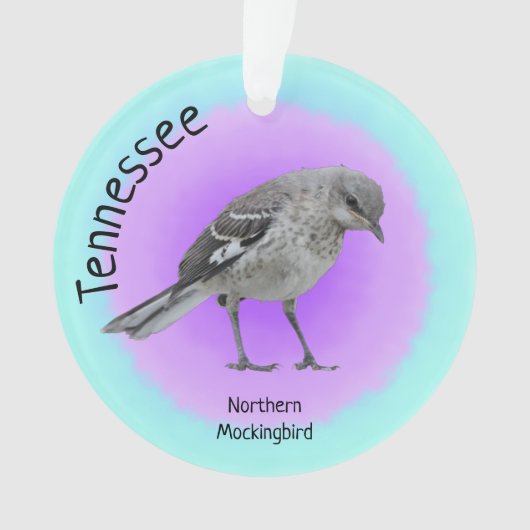 Oiseau du Tennessee (devant)