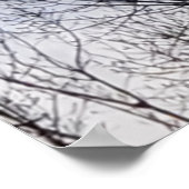 Oiseau en hiver Photo Poster de l'arbre généalogiq (Coin)