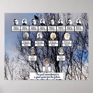 Oiseau en hiver Photo Poster de l'arbre généalogiq