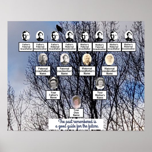 Oiseau en hiver Photo Poster de l'arbre généalogiq (Devant)